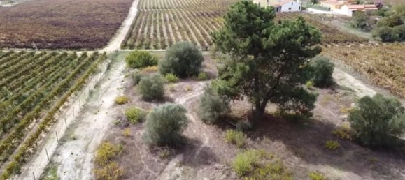 Terreno em Pinhal Novo, Portugal 180 m² N.º 95877 5