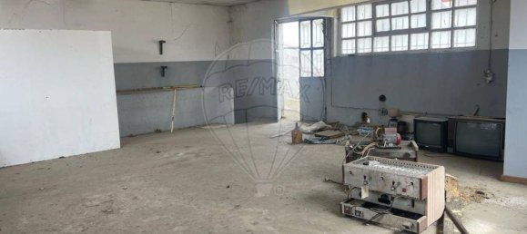 147m² Warehouse in Minde, Portugal No. 65460 7