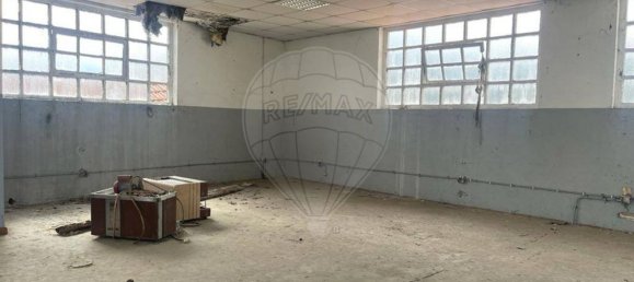 147m² Warehouse in Minde, Portugal No. 65460 6