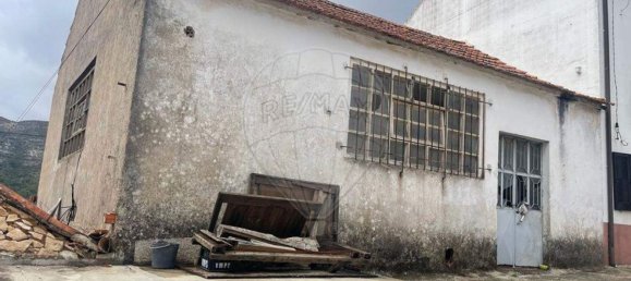 147m² Warehouse in Minde, Portugal No. 65460 3