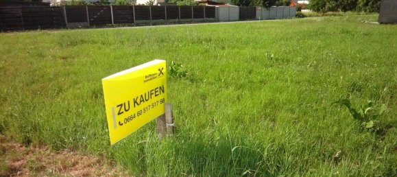  Land in Purbach am Neusiedler See, Austria No. 242279 2