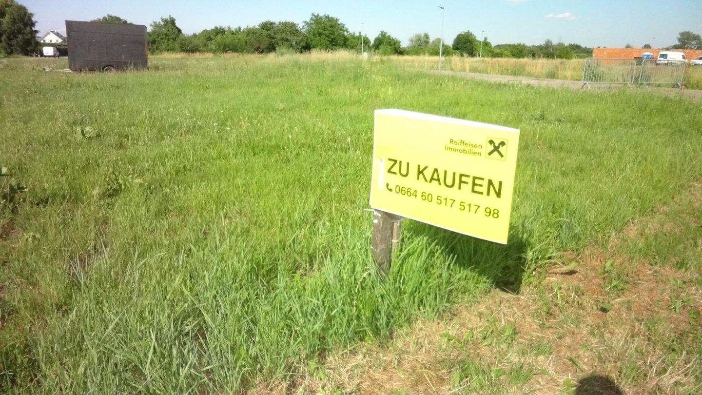  Land in Purbach am Neusiedler See, Austria No. 242279