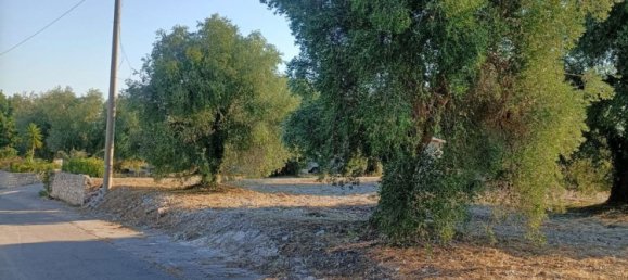 Земельный участок в Вико дель Гаргано, Италия № 377799 13