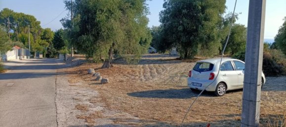 Земельный участок в Вико дель Гаргано, Италия № 377799 10