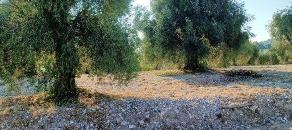 Земельный участок в Вико дель Гаргано, Италия № 377799 3