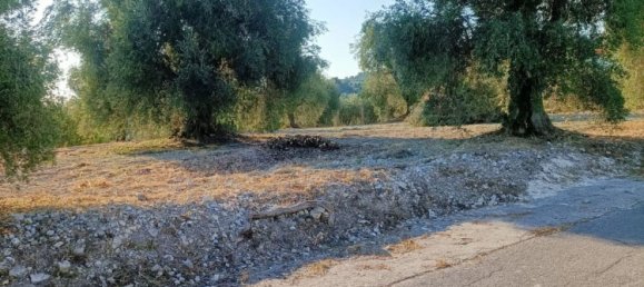 Земельный участок в Вико дель Гаргано, Италия № 377799 14