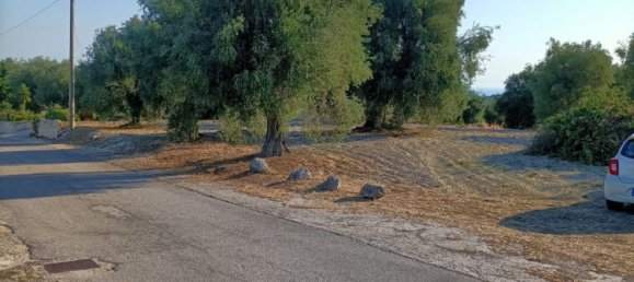 Земельный участок в Вико дель Гаргано, Италия № 377799 7