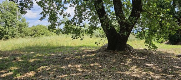 Casa de 5 habitaciónes en Orvieto, Italy No. 116263 26
