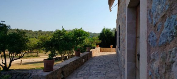  Land in Alaro, Spain No. 156248 8