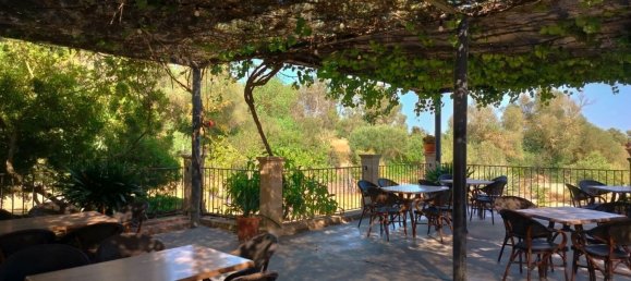  Land in Alaro, Spain No. 156248 5