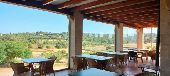  Land in Alaro, Spain No. 156248 2