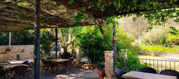  Land in Alaro, Spain No. 156248 6