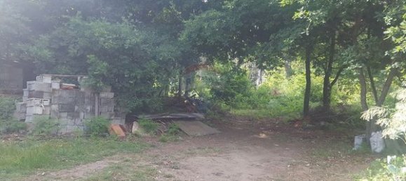 Terreno em Viseu, Portugal 33000 m² N.º 51968 2