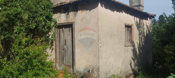 Terreno em Viseu, Portugal 33000 m² N.º 51968 3