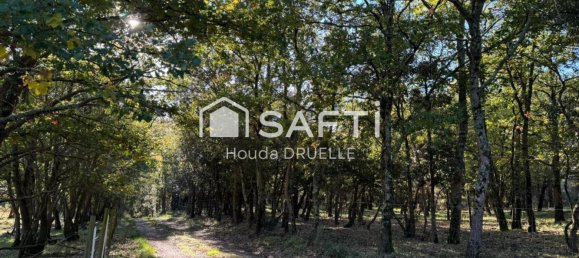  Land in Limoux, France No. 97159 8