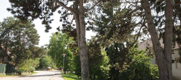 5 rooms Townhouse in Stockerau, Austria No. 197378 17