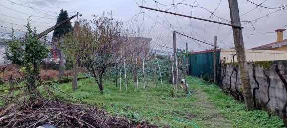 Дом с 3 спальнями в Палмейра, Португалия № 41764 9