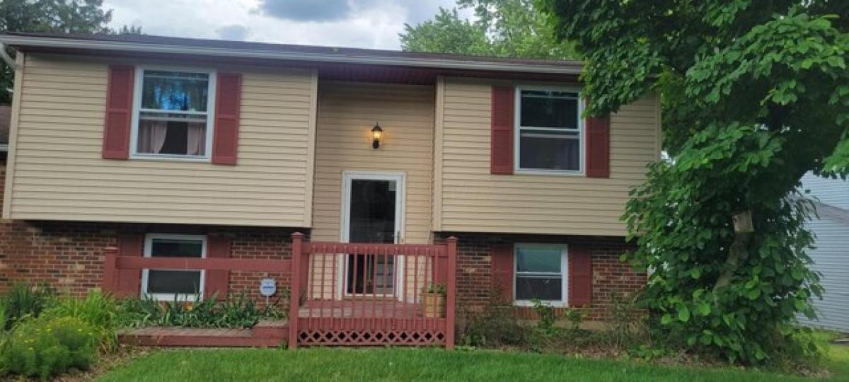 4 bedrooms House in Westerville, USA No. 437692