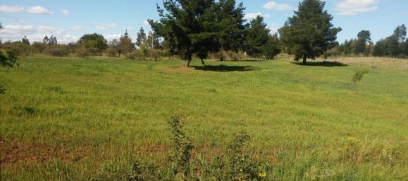  قطعة أرض في Biobio, Chile رقم 629 2