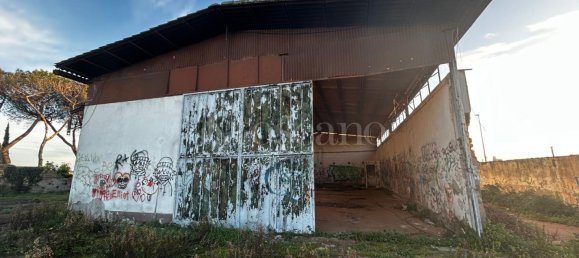 Склад с 1 комнатой в Рим, Италия № 118575 2