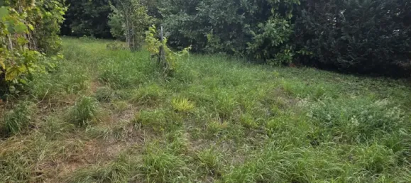 Casa de 4 dormitorios en Dormans, France No. 319223 12