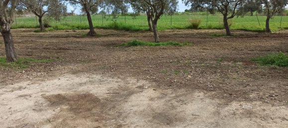 3 rooms Villa in Pachino, Italy No. 61174 13