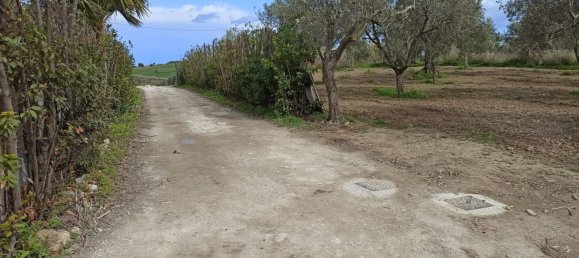 3 rooms Villa in Pachino, Italy No. 61174 12