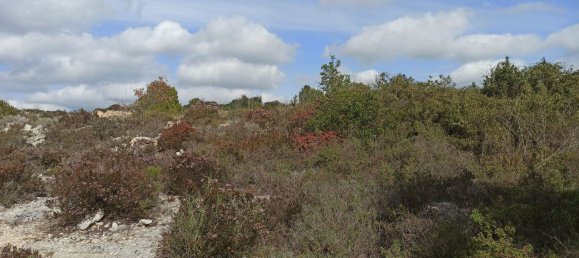 Grundstück in Noto, Italy 65000m², Nr. 61240 26