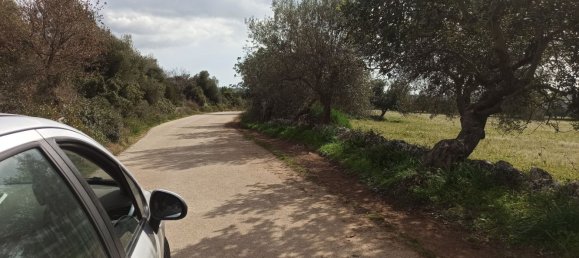 Grundstück in Noto, Italy 65000m², Nr. 61240 17