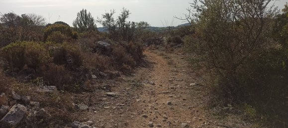 Grundstück in Noto, Italy 65000m², Nr. 61240 9