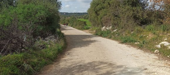 Grundstück in Noto, Italy 65000m², Nr. 61240 16