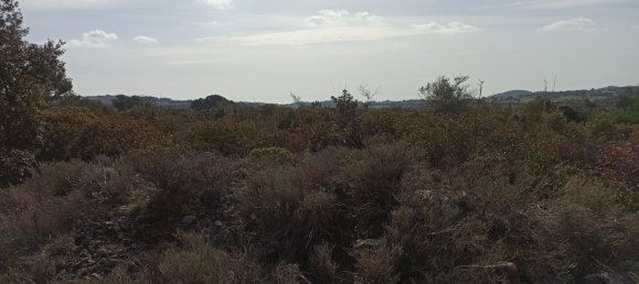 Grundstück in Noto, Italy 65000m², Nr. 61240 38