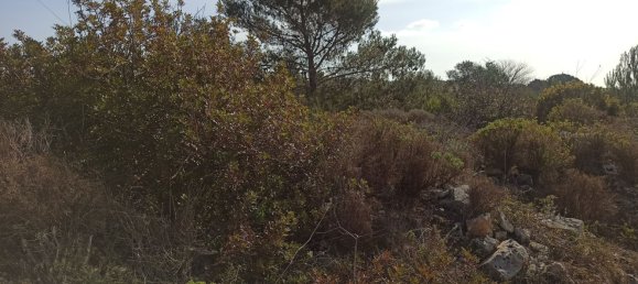 Grundstück in Noto, Italy 65000m², Nr. 61240 36