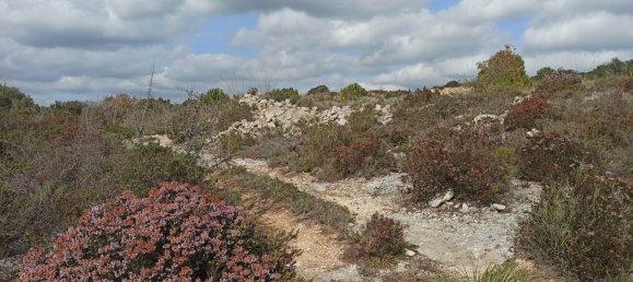 Grundstück in Noto, Italy 65000m², Nr. 61240 27