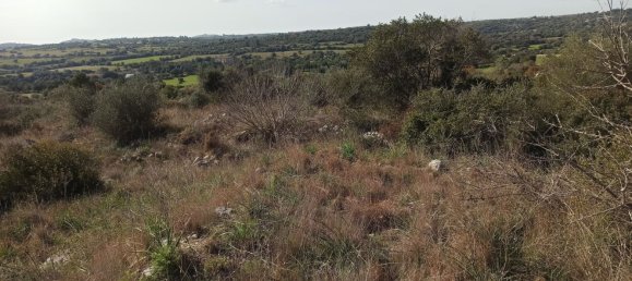 Grundstück in Noto, Italy 65000m², Nr. 61240 33