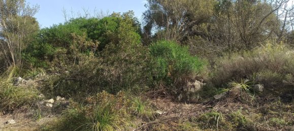 Grundstück in Noto, Italy 65000m², Nr. 61240 41