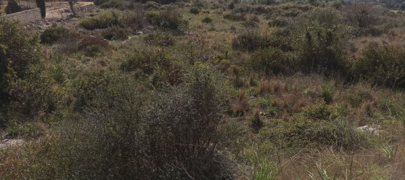 Grundstück in Noto, Italy 65000m², Nr. 61240 42