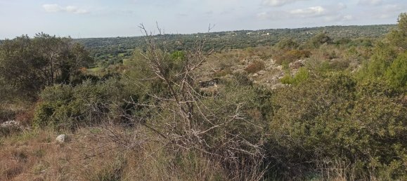 Grundstück in Noto, Italy 65000m², Nr. 61240 31