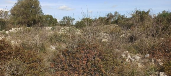 Grundstück in Noto, Italy 65000m², Nr. 61240 5