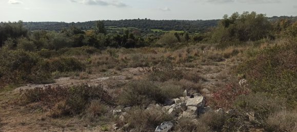 Grundstück in Noto, Italy 65000m², Nr. 61240 35