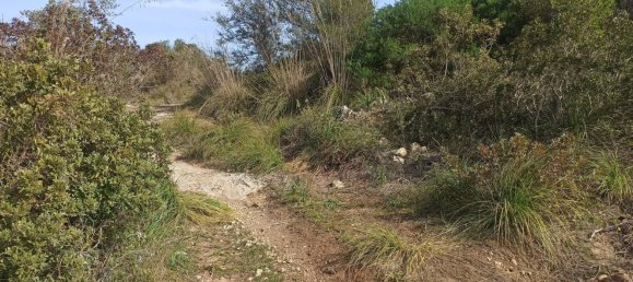 Grundstück in Noto, Italy 65000m², Nr. 61240 20