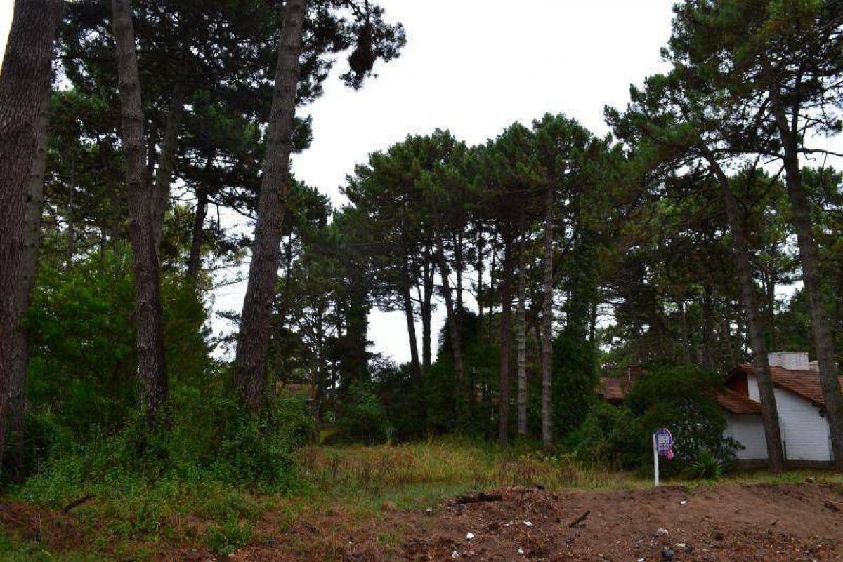 Grundstück in Mar del Plata, Argentina, Nr. 113404