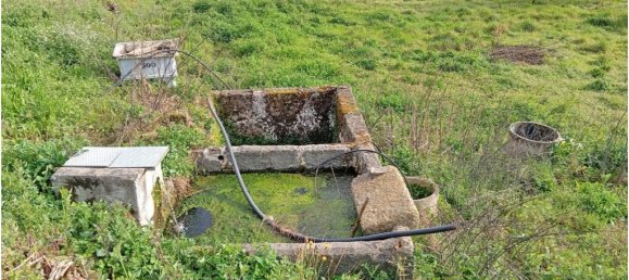 9 غرف نوم منزل في Felgueiras, Portugal رقم 95419 6