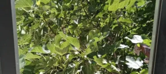 Таунхаус с 3 спальнями в Гвадалахара, Испания № 169390 10