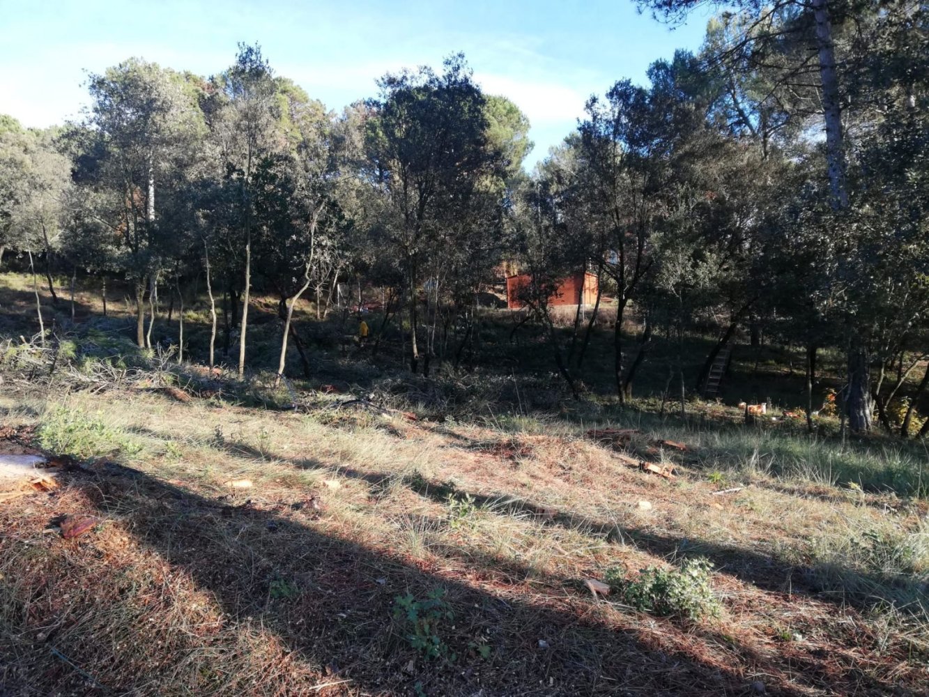  Land in Seva, Spain No. 77602