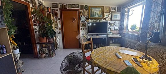 3 rooms Apartment in Ardea, Italy No. 264055 8