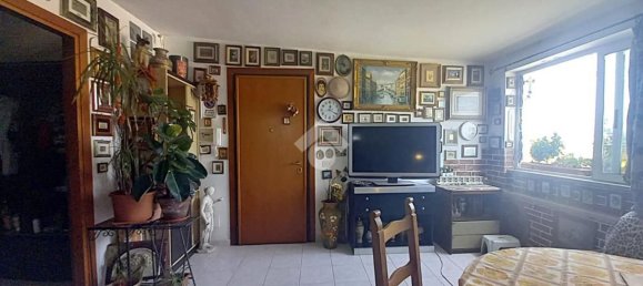 3 rooms Apartment in Ardea, Italy No. 264055 7