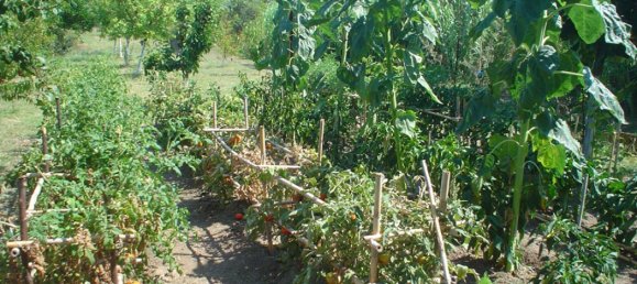 1 bedroom Villa in Central Greece, Greece No. 1200 2