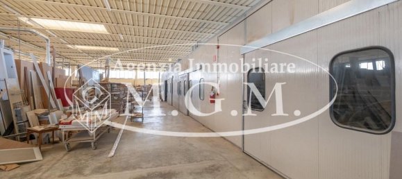 Entrepôt à Calcinaia, Italy 3000m² No. 81327 25