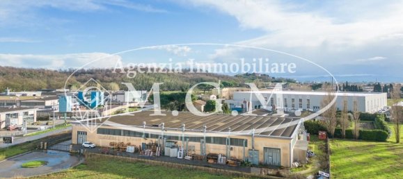 Entrepôt à Calcinaia, Italy 3000m² No. 81327 2
